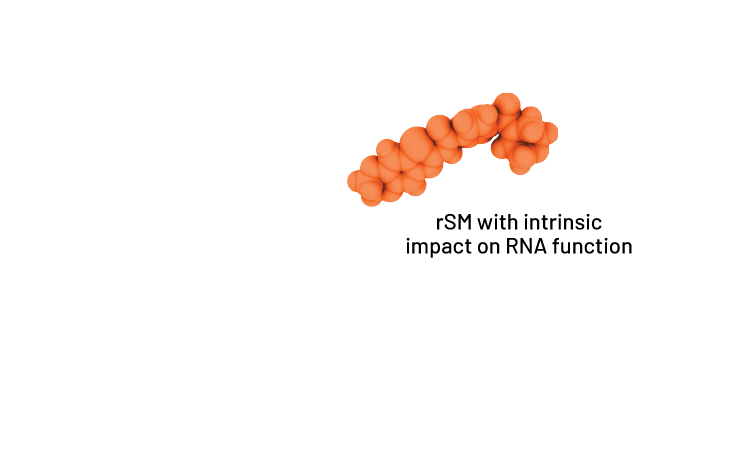 rSMs with intrinsic impact on RNA function