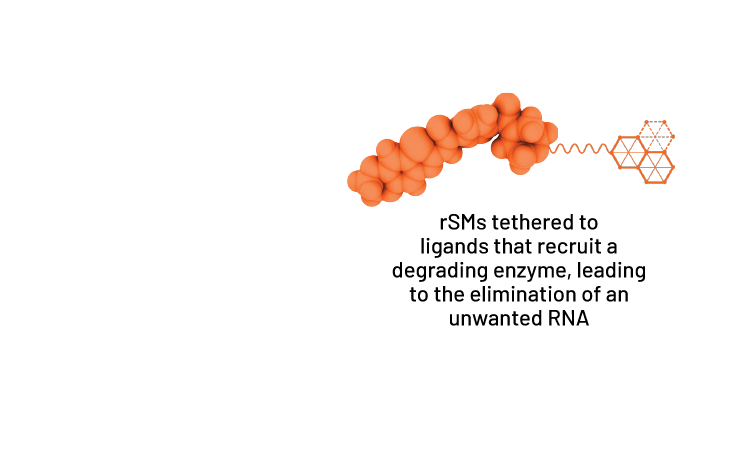 rSMs tethered to ligands that recruit a degrading enzyme, leading to the elimination of an unwanted RNA