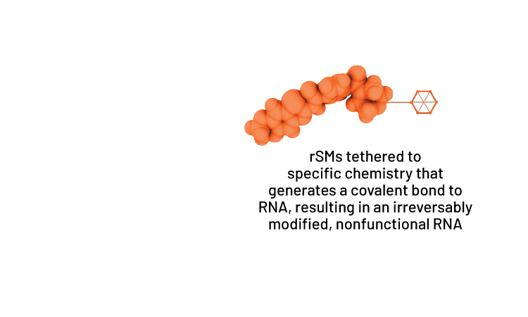 rSMs tethered to specific chemistry that generates a covalent bond to RNA, resulting in an irreversibly modified, nonfunctional RNA