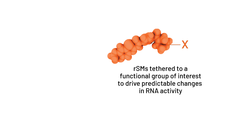 rSMs tethered to a functional group of interest to drive predictable changes in RNA activity