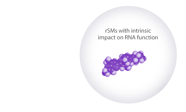 rSMs with intrinsic impact on RNA function