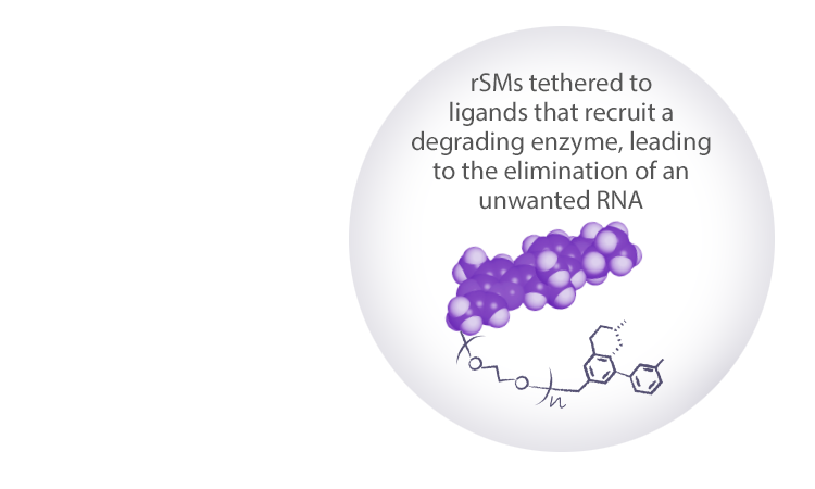 rSMs tethered to ligands that recruit a degrading enzyme, leading to the elimination of an unwanted RNA