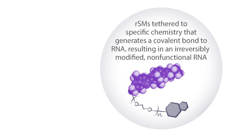 rSMs tethered to specific chemistry that generates a covalent bond to RNA, resulting in an irreversibly modified, nonfunctional RNA